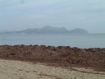 DSCF0024.JPG
